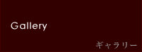 ギャラリー